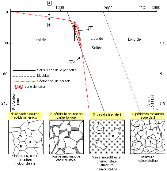 Conditions de fusion de la pridotite et gotherme sous la dorsale